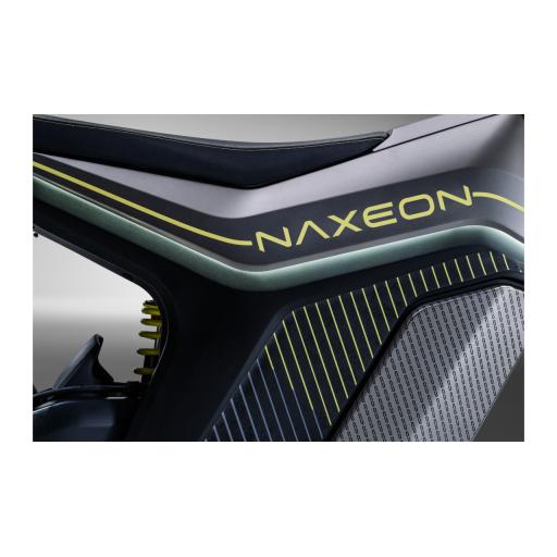 Naxeon Side Detail.jpg