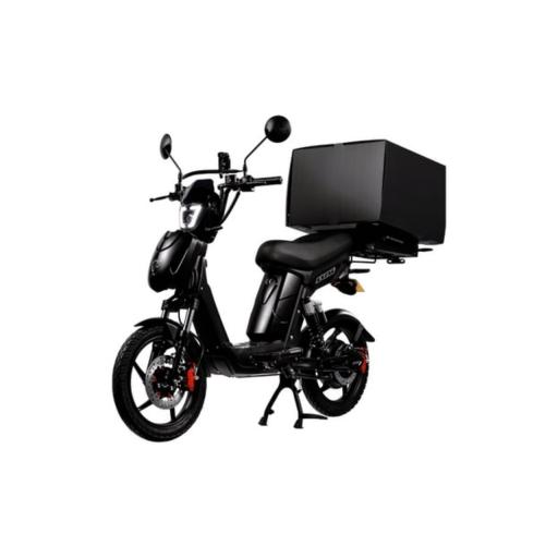 Eskuta SX 250 Cargo Moped style EPAC. 250w 15mph